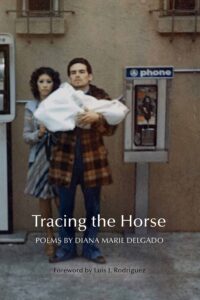 Diana Marie Delgado - Tracing The Horse