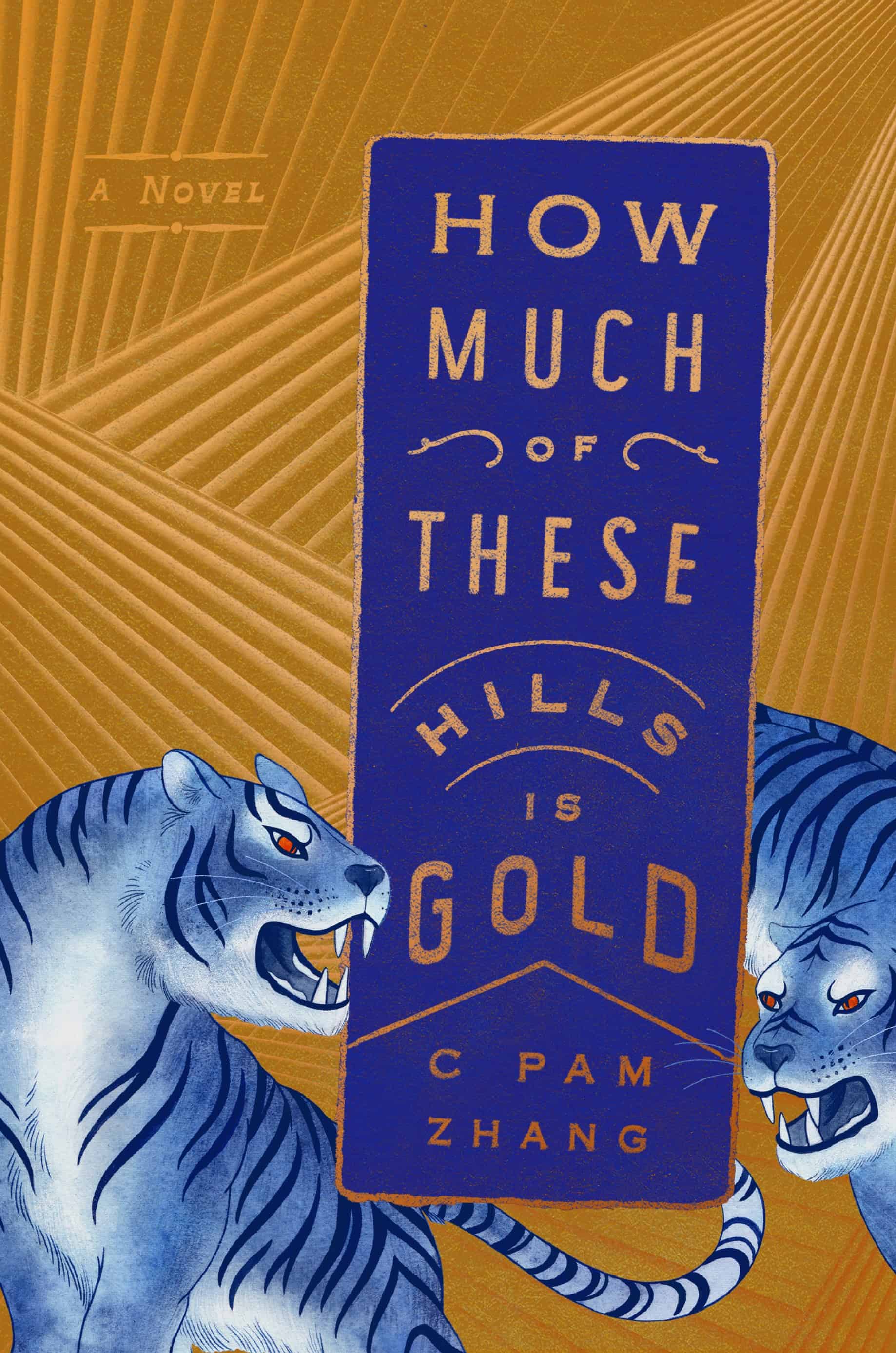 book cover of How Much of These Hills is Gold
