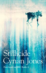 Stillcide book cover