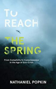 To Reach the Spring: From Complicity to Consciousness in the Age of Eco-Crisis book cover