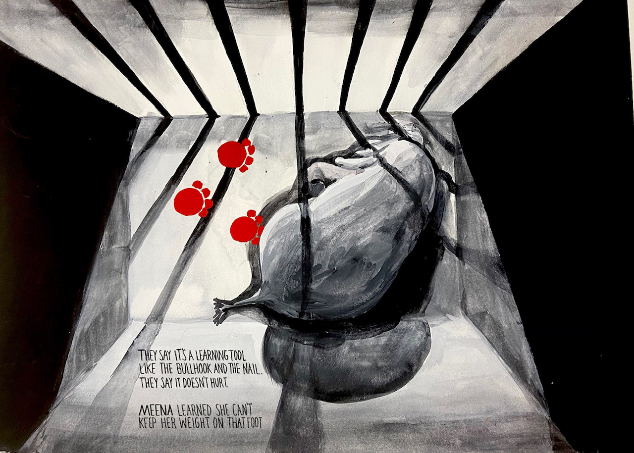 Sleeping elephant seen from above. The bars of the cage cast a shadow over the elephant with three red footprints nearby.