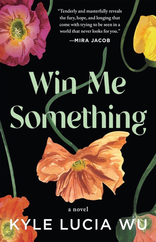Win Me Something book cover