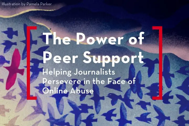 Abstract illustration by Pamela Parker showcasing pink and blue stylized birds in flight, featuring the text: The Power of Peer Support: Helping Journalists Persevere in the Face of Online Abuse.