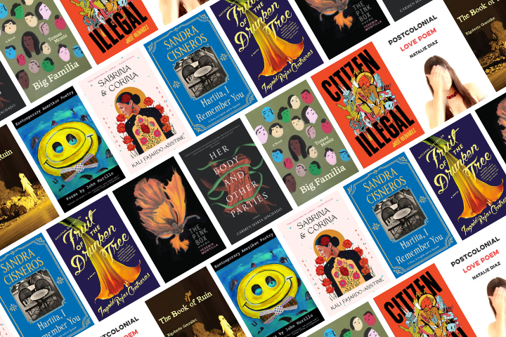A collage of diverse book covers, including titles like “Citizen Illegal,” “Her Body and Other Parties,” “Big Familia,” and “Sandra Cisneros’s Have You Seen Marie?,” arranged in a diagonal grid pattern.