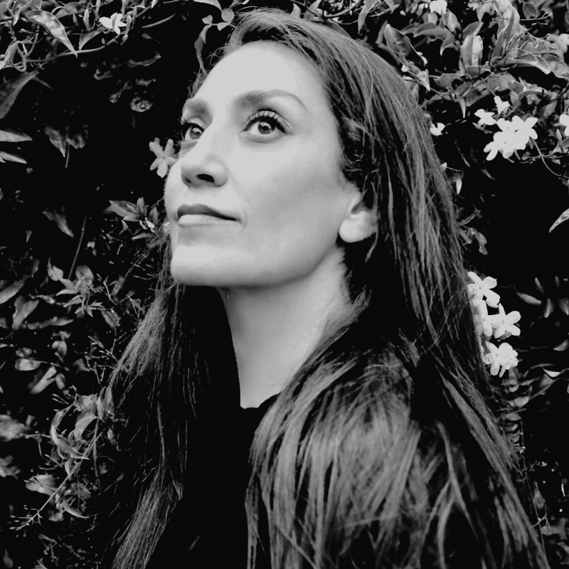 Niloufar Talebi headshot