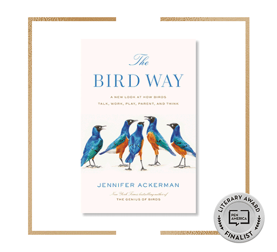 Book covers of 2021 PEN/E.O. Wilson Literary Science Writing Award finalists