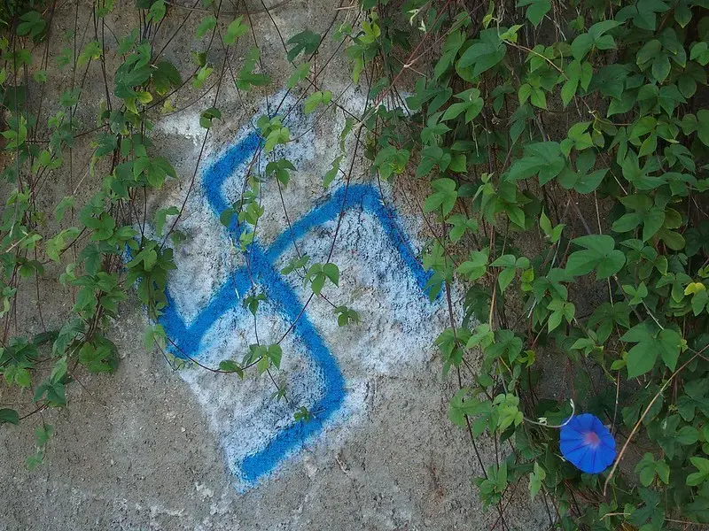 A blue swastika symbol spray-painted on a concrete surface, partially covered by green vines and leaves, with a single purple flower in the lower right corner.