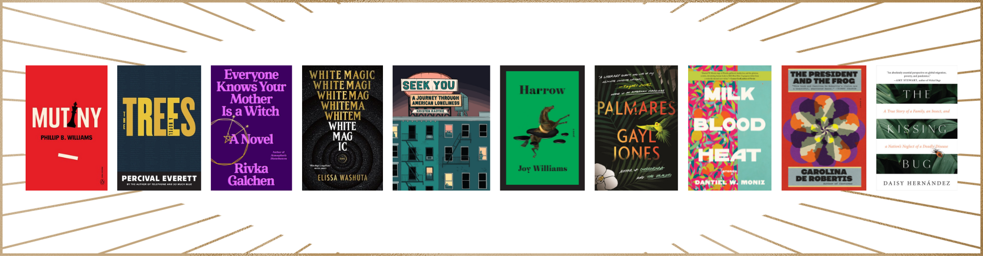 2022 PEN/Jean Stein Book Award longlists book covers