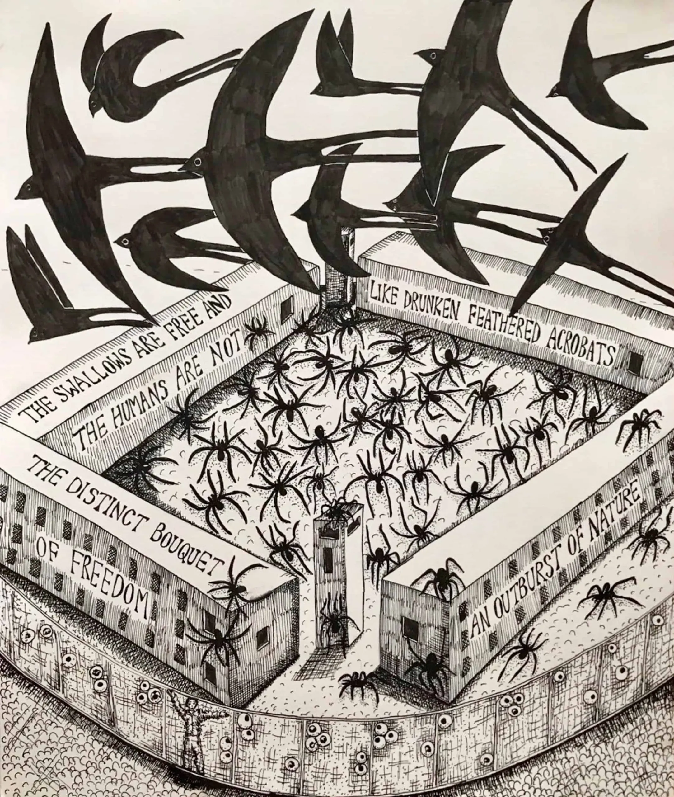 A black-and-white drawing of swallows flying above a walled enclosure filled with spiders, evoking prison writing. Text reads: "The swallows are free and the humans are not, like drunken feathered acrobats, an outburst of nature.