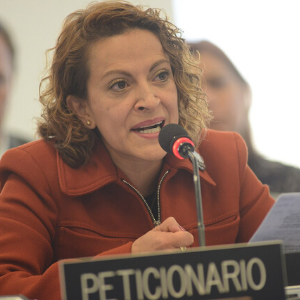 A woman with curly hair in a red jacket speaks into a microphone at a conference or hearing. She holds a paper and sits behind a sign that reads PETICIONARIO. Other people are blurred in the background.