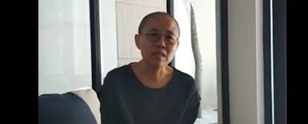 A person with short hair and glasses sits indoors near a window, wearing a dark shirt. Light from outside brightens the background, revealing part of a tree and a white wall.