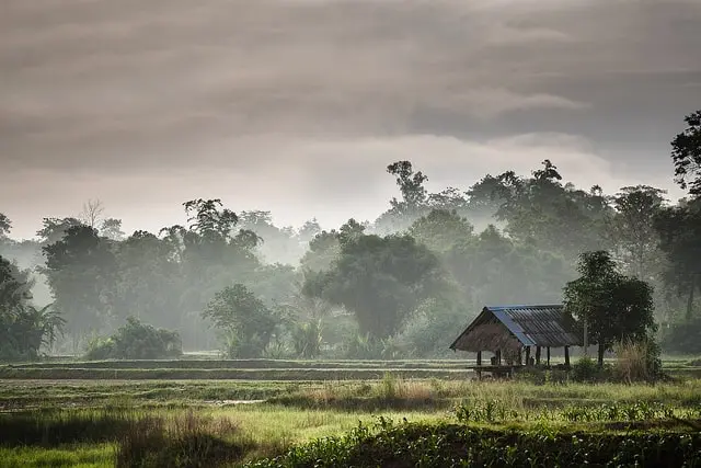 A small wooden hut with a tin roof sits in a lush, green field surrounded by misty trees under a cloudy sky, creating a serene and tranquil rural landscape.