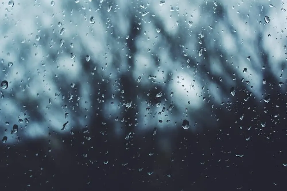 Raindrops on a window with a blurred view of trees and a gray, overcast sky in the background, creating a moody and tranquil atmosphere.