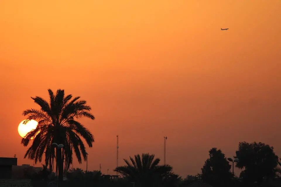 Silhouette of palm trees against an orange sunset sky, with the sun low on the horizon and a small airplane flying in the distance.