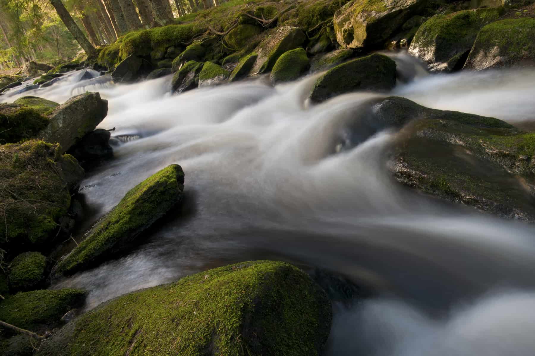 A flowing stream winds through moss-covered rocks in a forest, with the water appearing silky and smooth due to long exposure photography. Sunlight filters through the trees, illuminating the lush greenery.