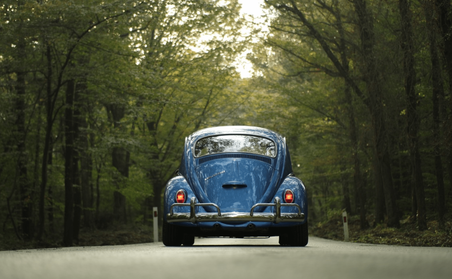 A classic blue Volkswagen Beetle is parked on a quiet road surrounded by lush, green trees in a forest setting, viewed from behind.