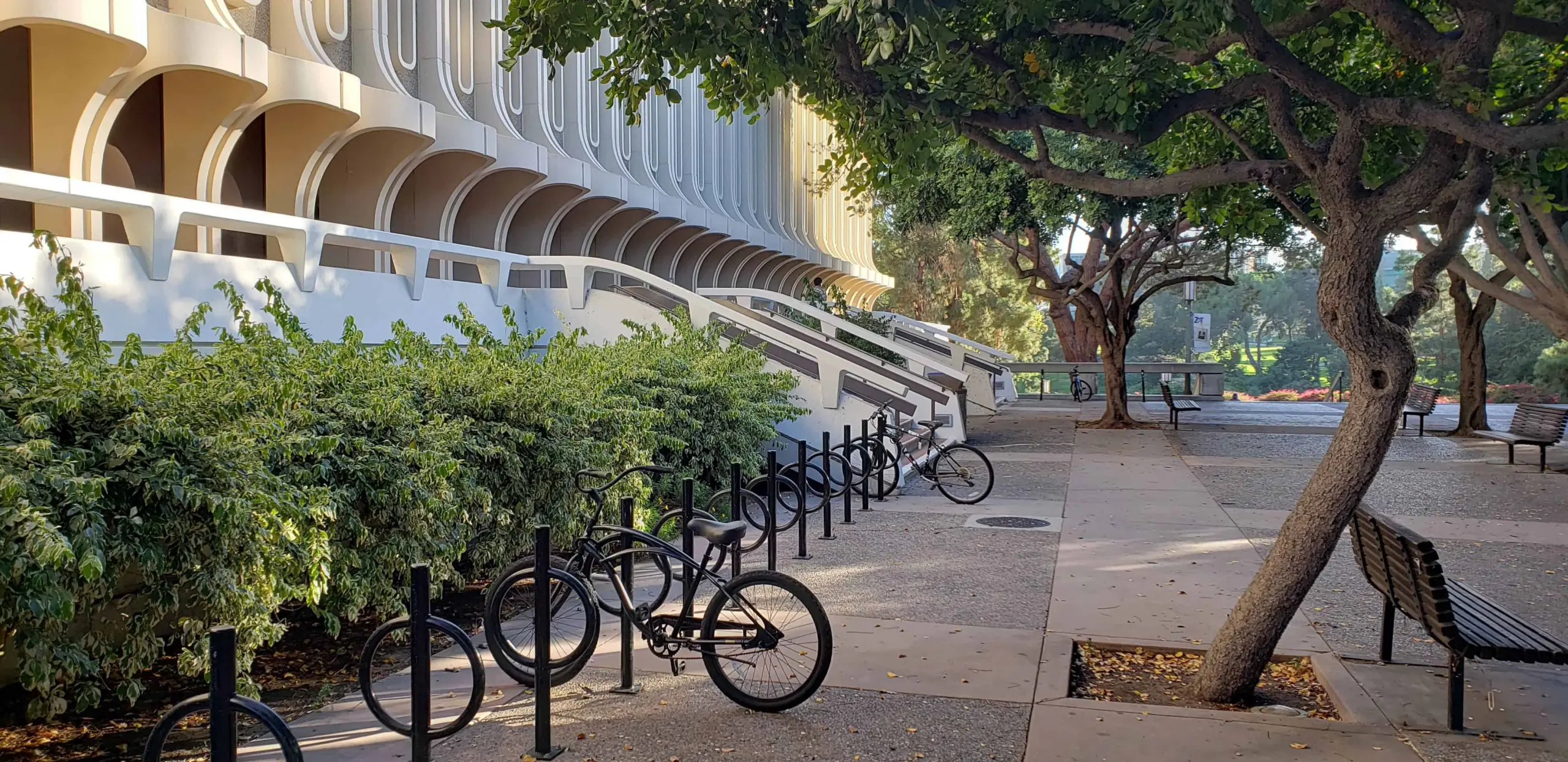 A row of bicycles is locked to racks beside a modern building with curved columns. Trees provide shade along the sidewalk, and benches are visible under the greenery.