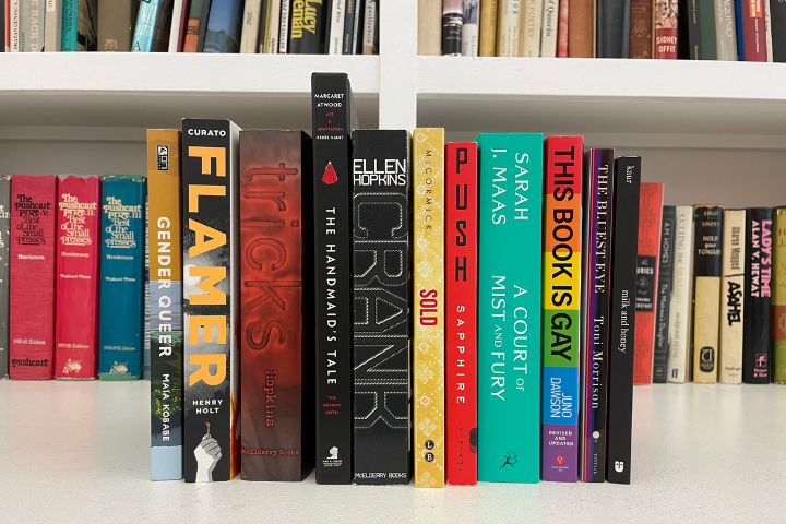 A row of 12 colorful banned books standing upright on a white shelf, with other books blurred in the background. Titles include Gender Queer, Flamer, Tricks, Crank, The Handmaid’s Tale, Sold, Push, and This Book Is Gay.
