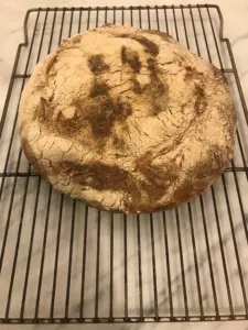 Bread by Janelle Brown