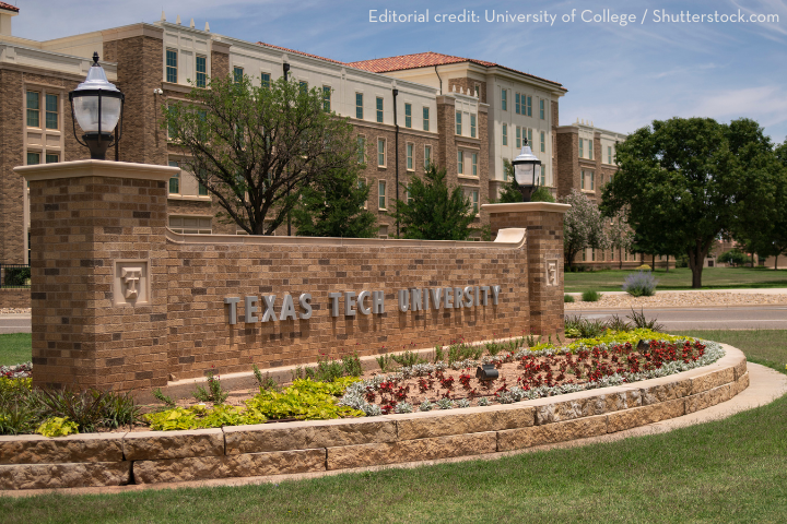 A brick entrance sign for Texas Tech University stands in front of landscaped flowers and grass, with campus buildings and trees visible in the background on a sunny day.