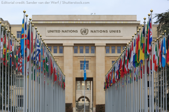 Rows of international flags line the walkway leading to the United Nations Office at Geneva, with “United Nations” written on the building’s facade.