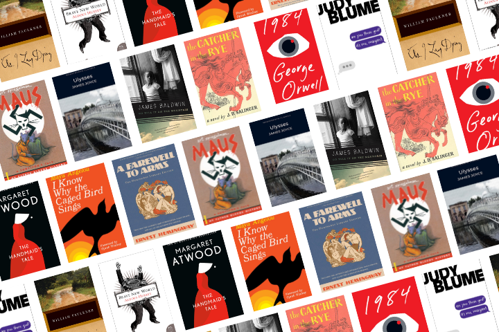 A collage of classic book covers, including 1984, The Handmaid’s Tale, and works by Judy Blume and James Baldwin—many recently spotlighted amid Iowa book bans.