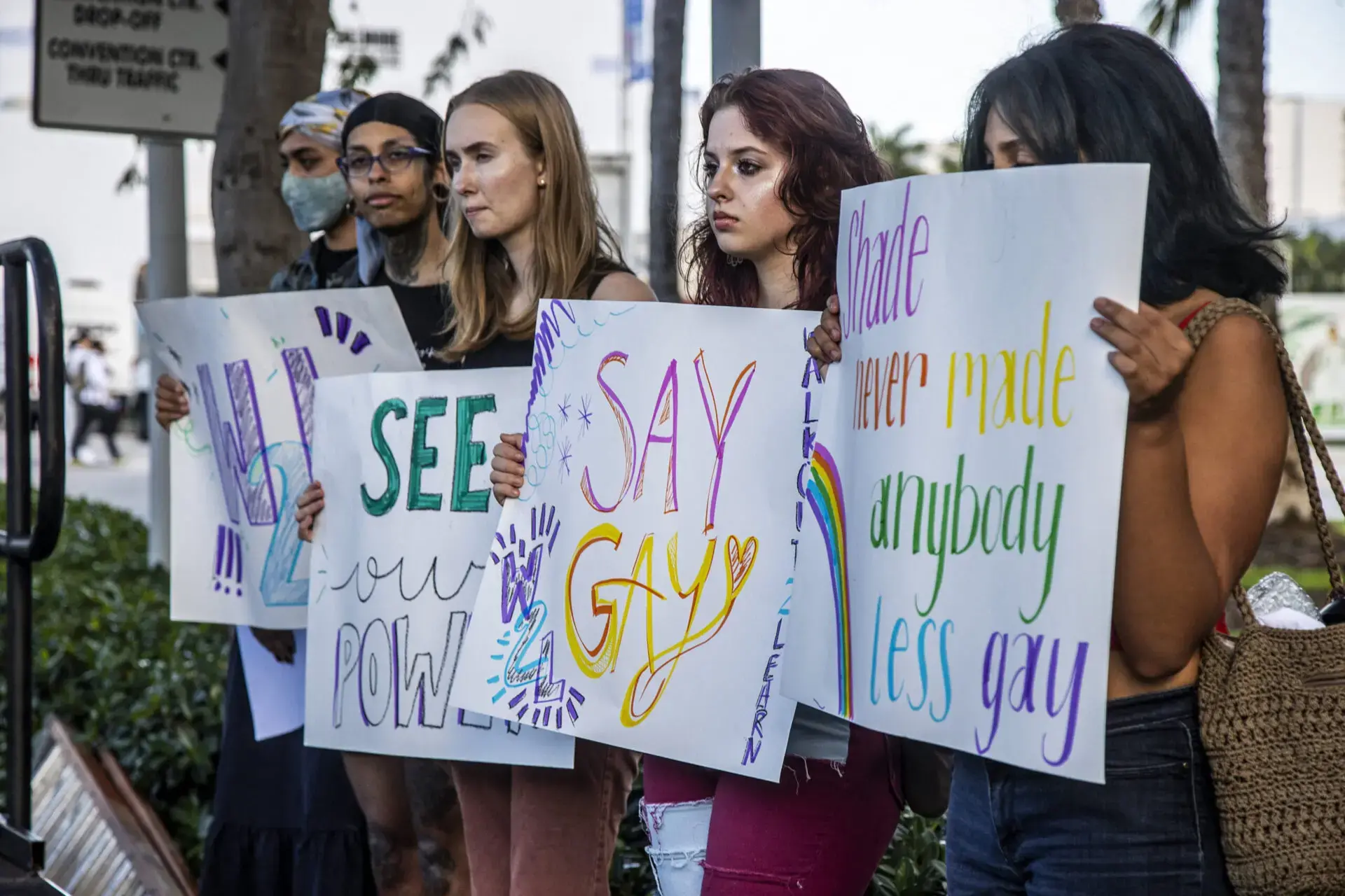 A group of people stand side by side at a protest, holding colorful handmade signs with messages supporting LGBTQ+ rights, including Say Gay and You cant make anybody less gay, in opposition to the dont say gay laws 2023.