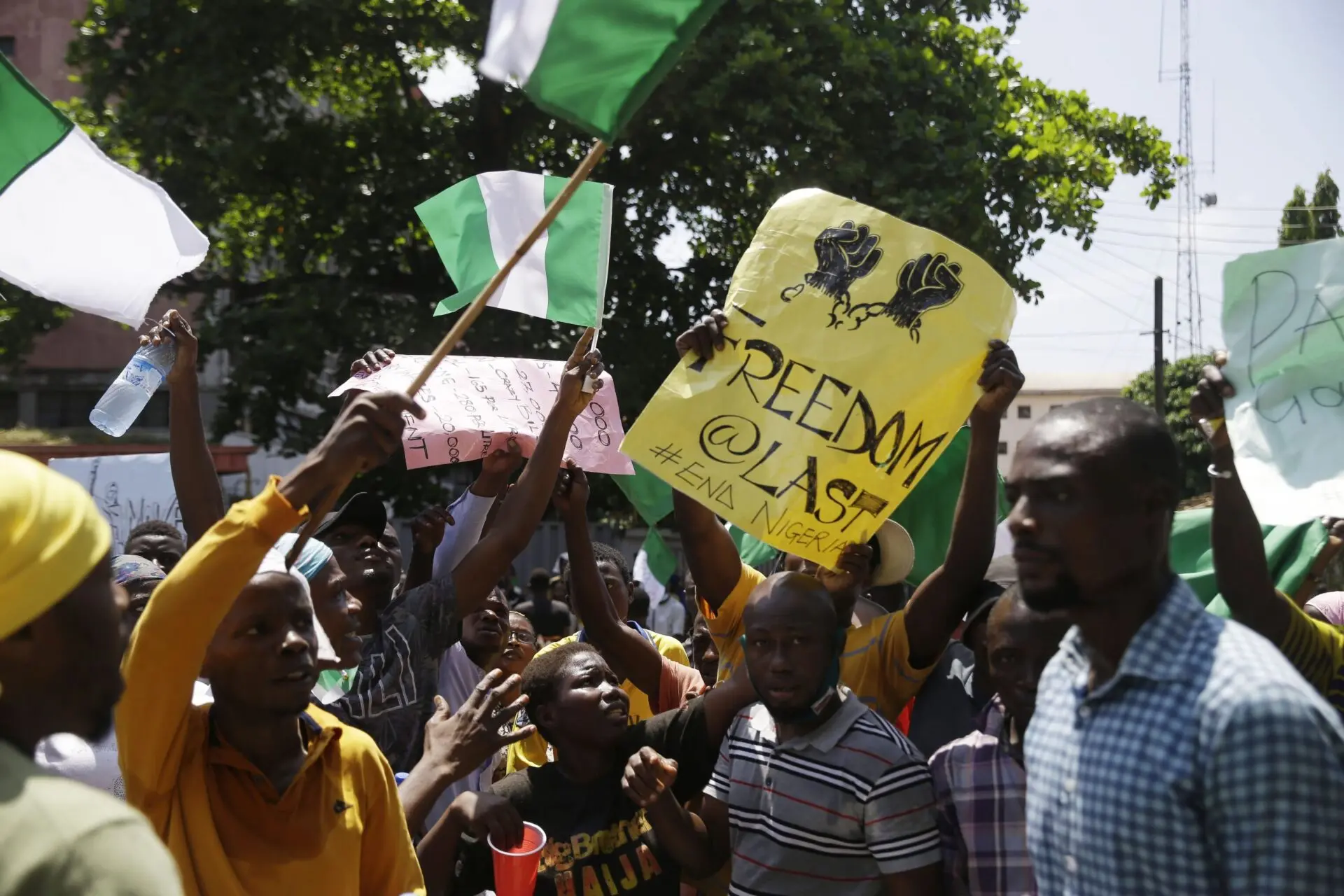 A group of people protest outdoors, holding Nigerian flags and signs, including one that reads “FREEDOM @ LAST.” The crowd appears energetic and passionate, with trees and buildings visible in the background.