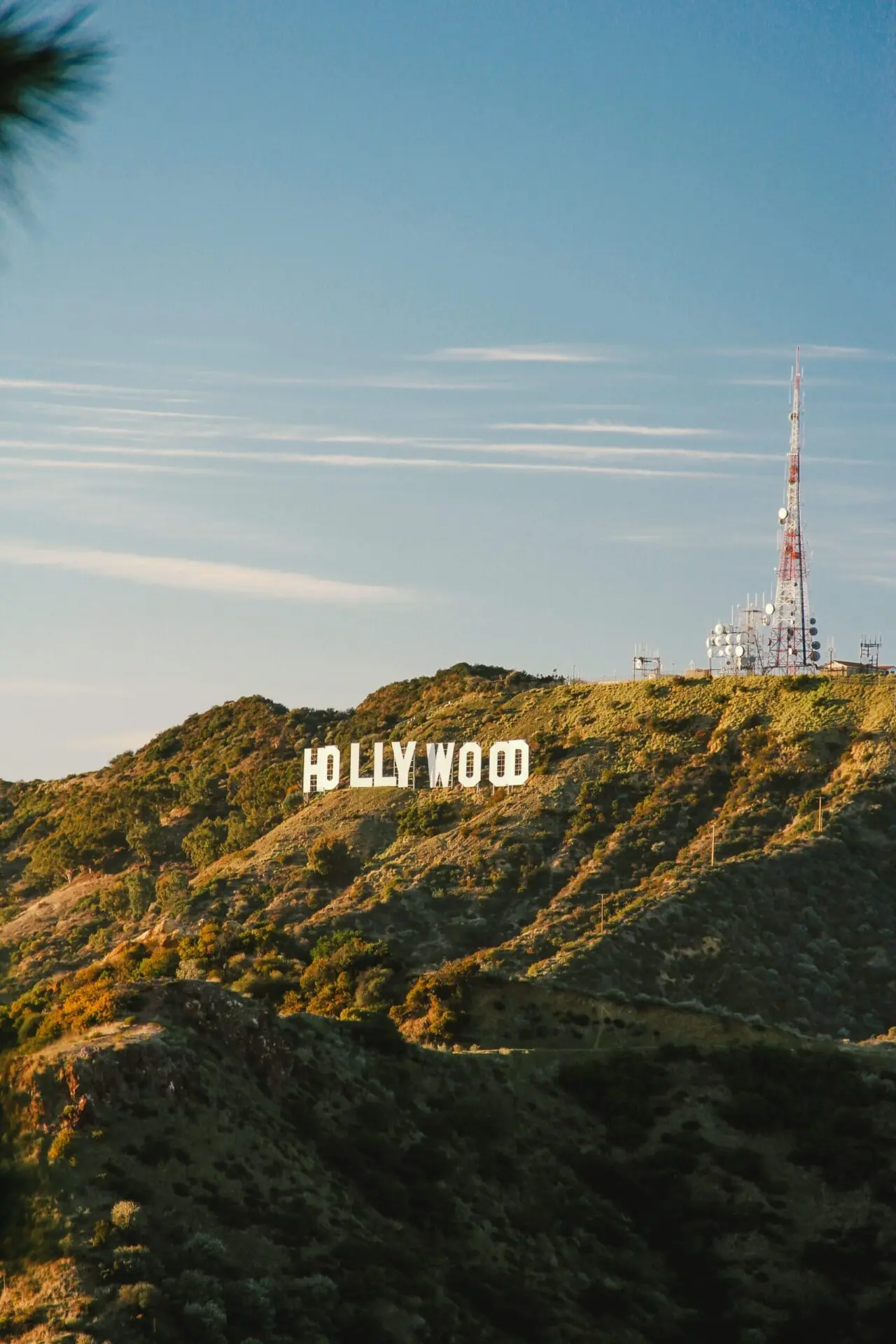The iconic white Hollywood sign sits on a green hillside under a clear blue sky, with a tall radio tower and scattered buildings nearby.