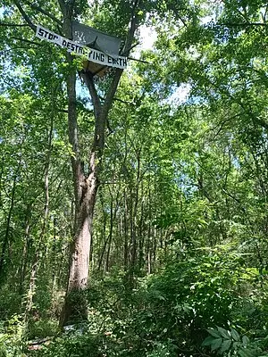A lush green forest with sunlight filtering through the leaves. A sign high in a tree reads STOP DESTROYING EARTH in large, hand-painted letters. Dense foliage covers the ground.