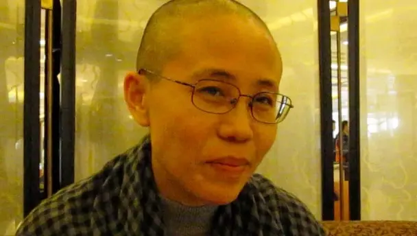 A person with a shaved head, wearing glasses and a plaid scarf, sits indoors in front of a light-colored partition, looking toward the camera with a slight smile.