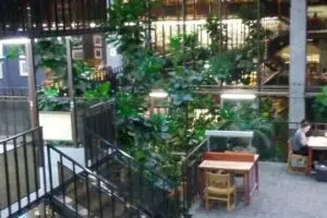 Indoor space with lush green plants, staircases, and railings. There are tables and chairs; one person is seated and working at a desk near a window. The area appears bright and inviting.