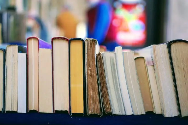 A row of various books standing upright on a table, with colorful blurred shapes in the background. The books, differing in size and color, serve as a reminder of the importance of Book Ban Resources.