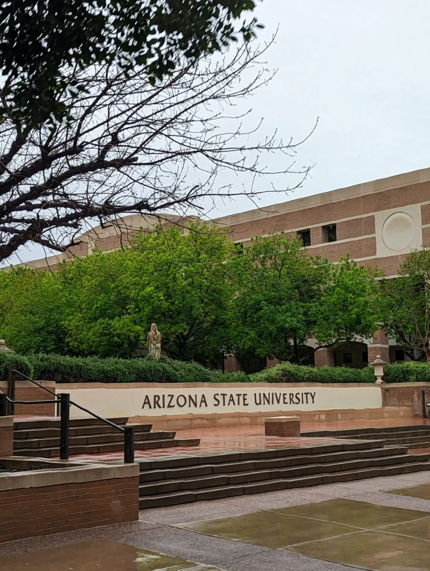A wet, empty plaza with steps leads to a tan sign reading Arizona State University in front of a brick building partially hidden by green trees under an overcast sky.