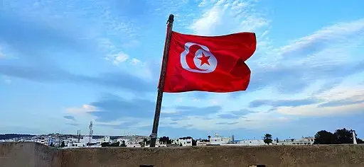 A red flag with a white circle, red crescent, and red star in the center waves on a pole against a blue sky with clouds, above white buildings and a distant cityscape.