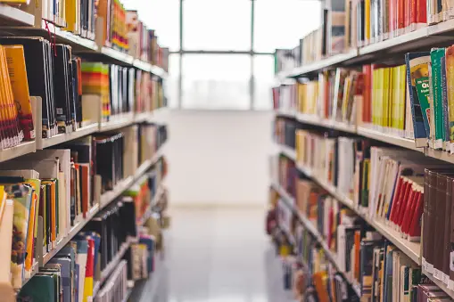 Bookshelves filled with colorful books line both sides of a bright, tidy library aisle, with sunlight streaming through a large window at the far end.