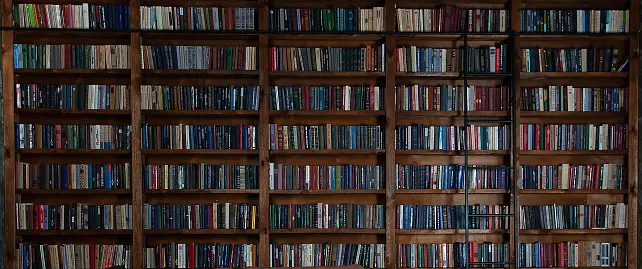 A large wooden bookshelf filled with numerous books arranged neatly across several shelves, spanning the width of the image.