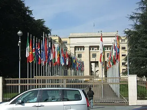 A person walks toward a gated entrance lined with flagpoles displaying many national flags, leading to a large, official building. A silver car is parked in the foreground.