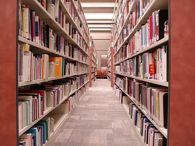 A library aisle with rows of tall bookshelves filled with books on both sides, leading to a well-lit area at the end of the corridor. The floor is carpeted with a patterned design.