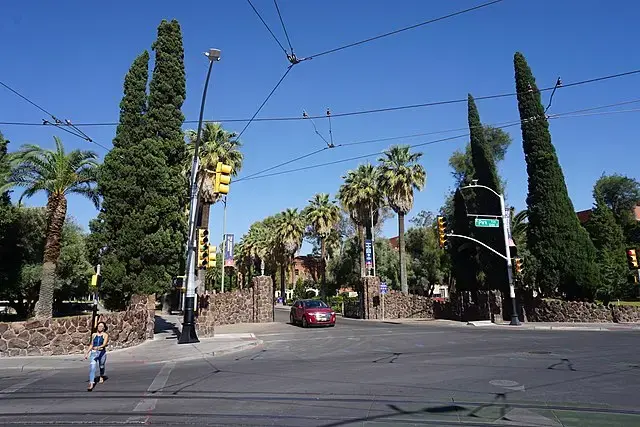 A woman crosses a street at an intersection lined with tall palm trees and evergreens, near a stone wall and entrance gate. A red car waits at the traffic light under clear blue sky.