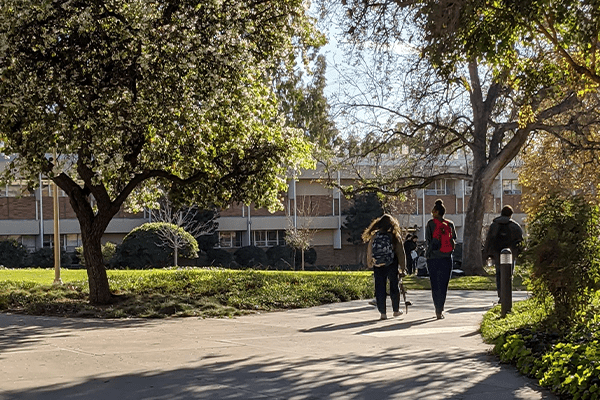 Three people with backpacks walk along a sunlit path lined with trees and greenery, a school building in the background. The calm, pleasant atmosphere contrasts sharply with times when the free press has been threatened during the coronavirus era.