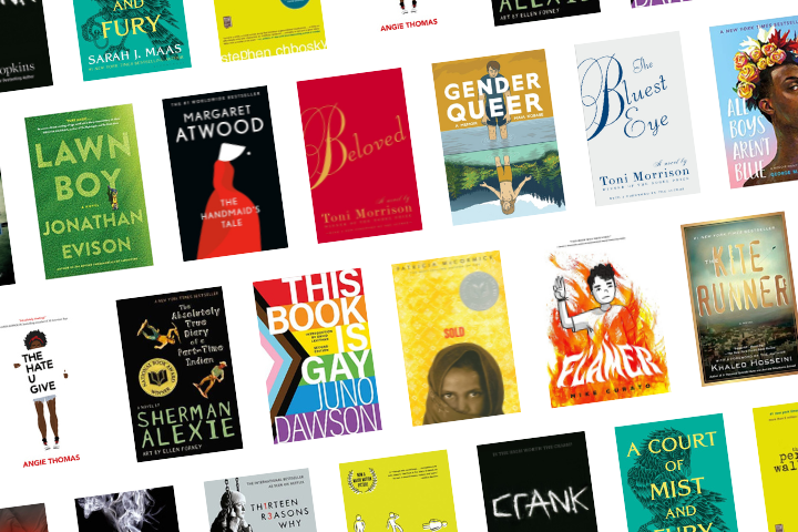 A collage of various banned book covers, including The Hate U Give, The Handmaids Tale, Gender Queer, Beloved, The Kite Runner, and others, arranged at different angles on a white background.
