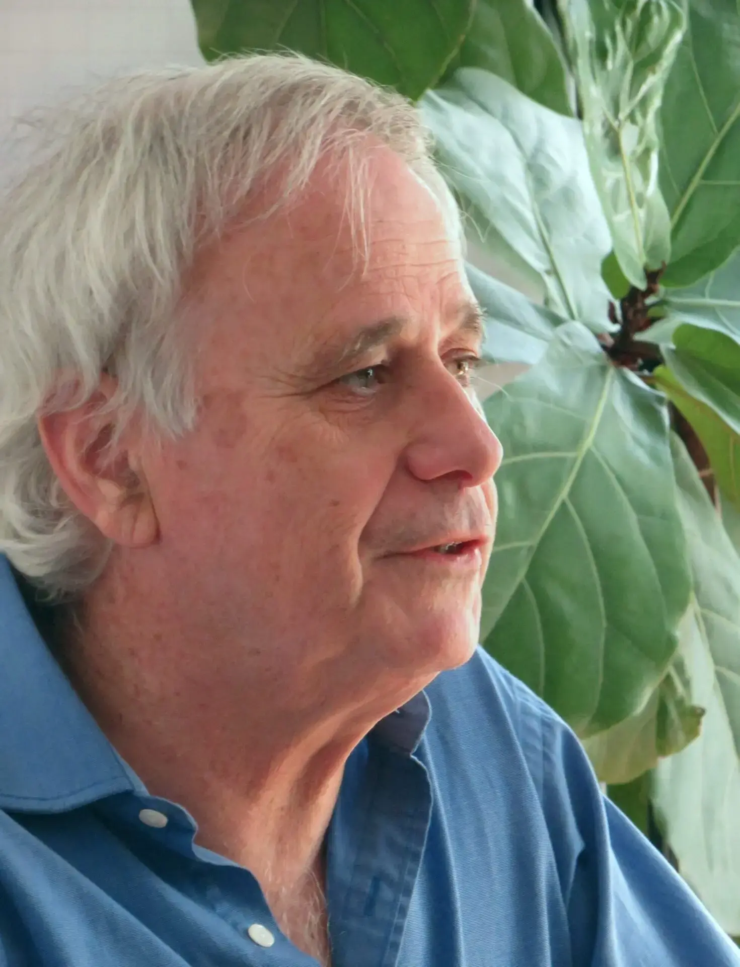 An older man with white hair and a blue shirt is seen in profile, speaking or listening, with large green leaves in the background.