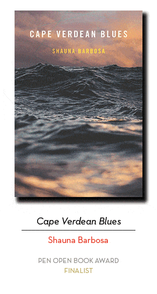 2019 Finalists for the PEN/Open Book award