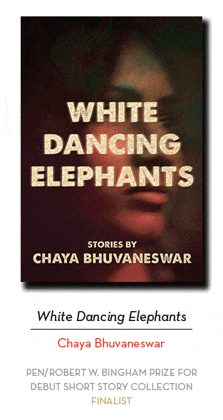 2019 Finalists for the PEN/Bingham award