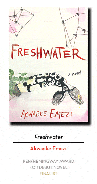 2019 PEN/Hemingway finalists