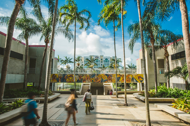 A vibrant campus walkway lined with tall palm trees leads to a modern building in the distance. Three people walk along the path, and a colorful mural adorns a nearby structure, under a bright blue sky with scattered clouds.