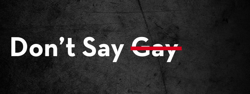 Text Dont Say Gay with a red line striking through Dont. Background is a dark, textured surface.