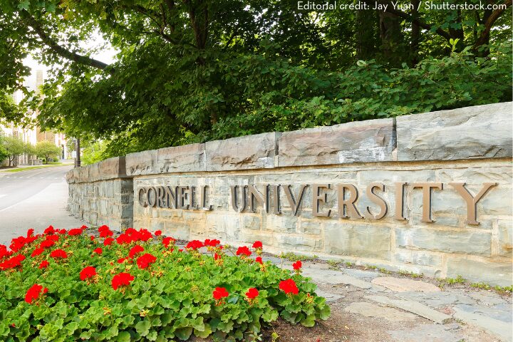 A stone sign reading Cornell University is set in front of a leafy green backdrop, with red flowers blooming in the foreground along a sidewalk.