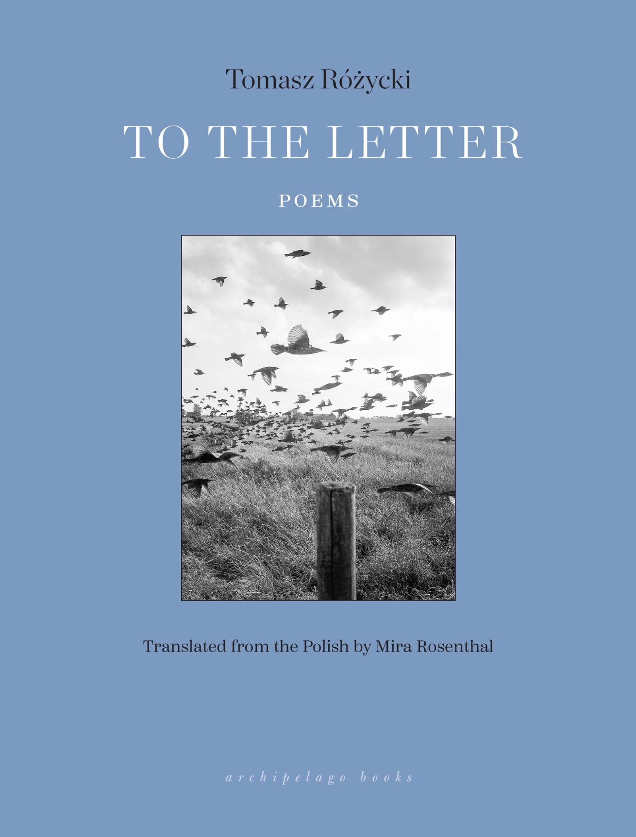 Book cover for To the Letter: Poems by Tomasz Różycki, translated by Mira Rosenthal. Features a black-and-white photo of birds flying over a field, set against a muted blue background.